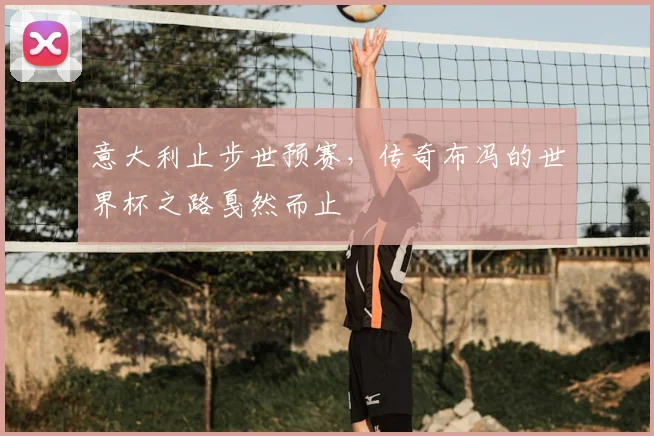 意大利止步世预赛,传奇布冯的世界杯之路戛然而止