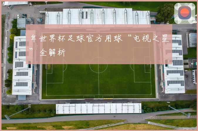 年世界杯足球官方用球“电视之星”全解析