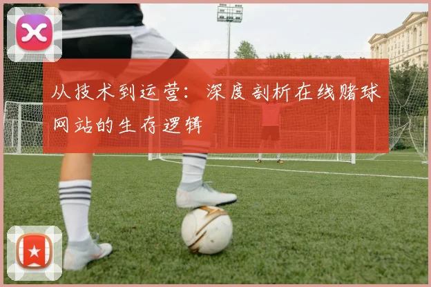 从技术到运营：深度剖析在线赌球网站的生存逻辑
