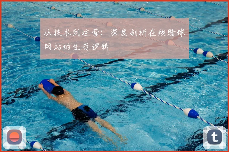 从技术到运营：深度剖析在线赌球网站的生存逻辑