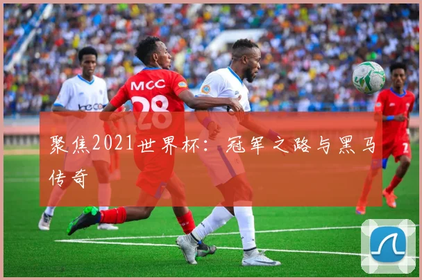 聚焦2021世界杯:冠军之路与黑马传奇