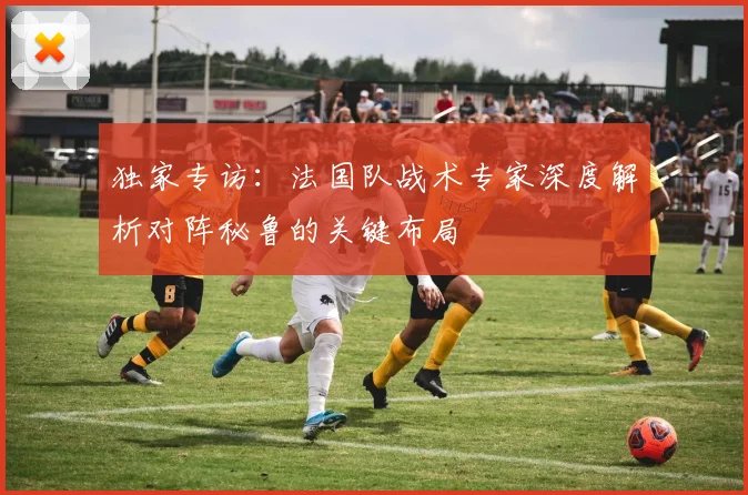 独家专访:法国队战术专家深度解析对阵秘鲁的关键布局